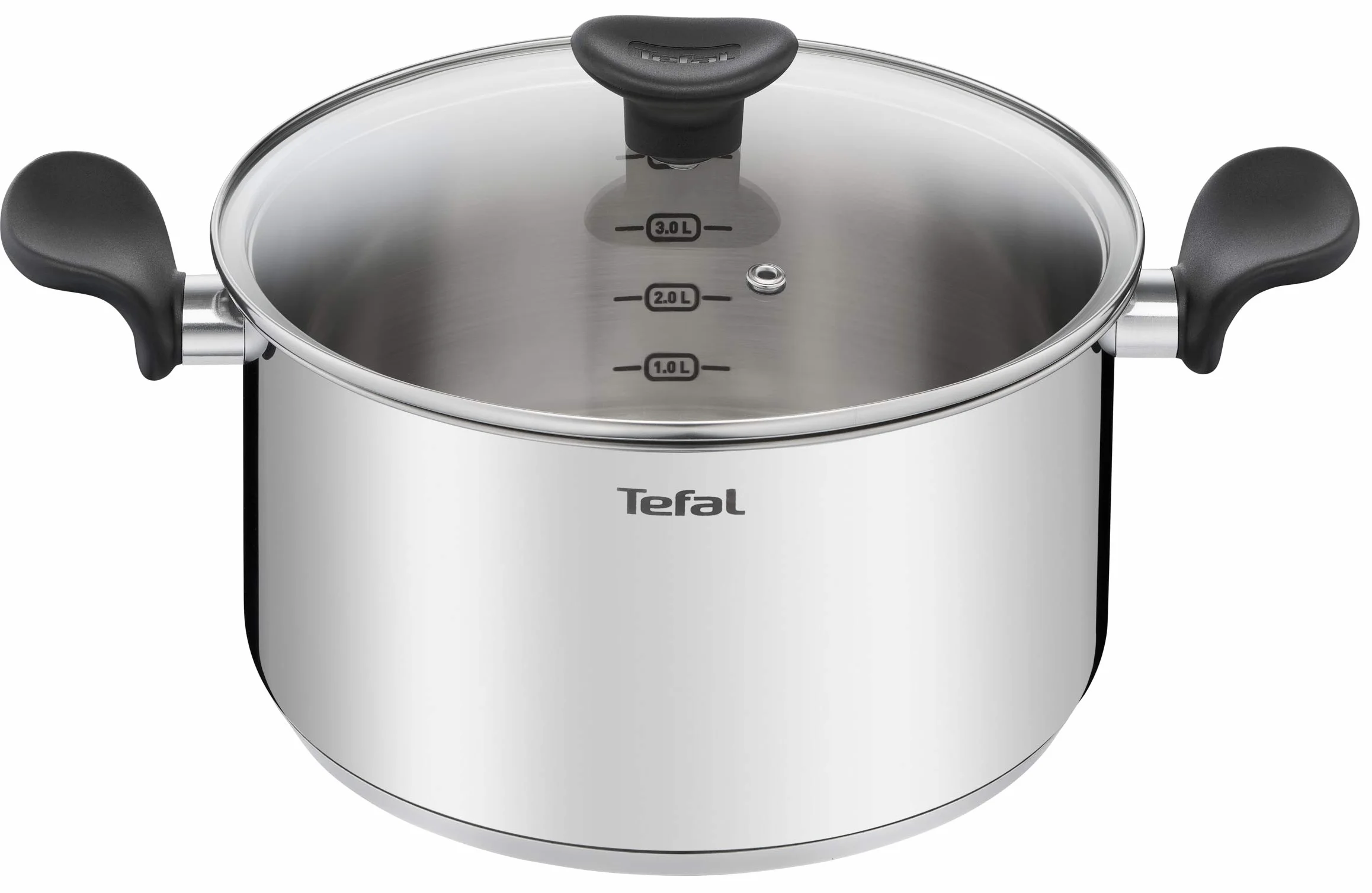 Tefal Faitout 24 cm (5 L) + couvercle verre, Induction, Acier inoxydable haute qualité, Garantie 10 ans, Livre recette, Primary E3084604