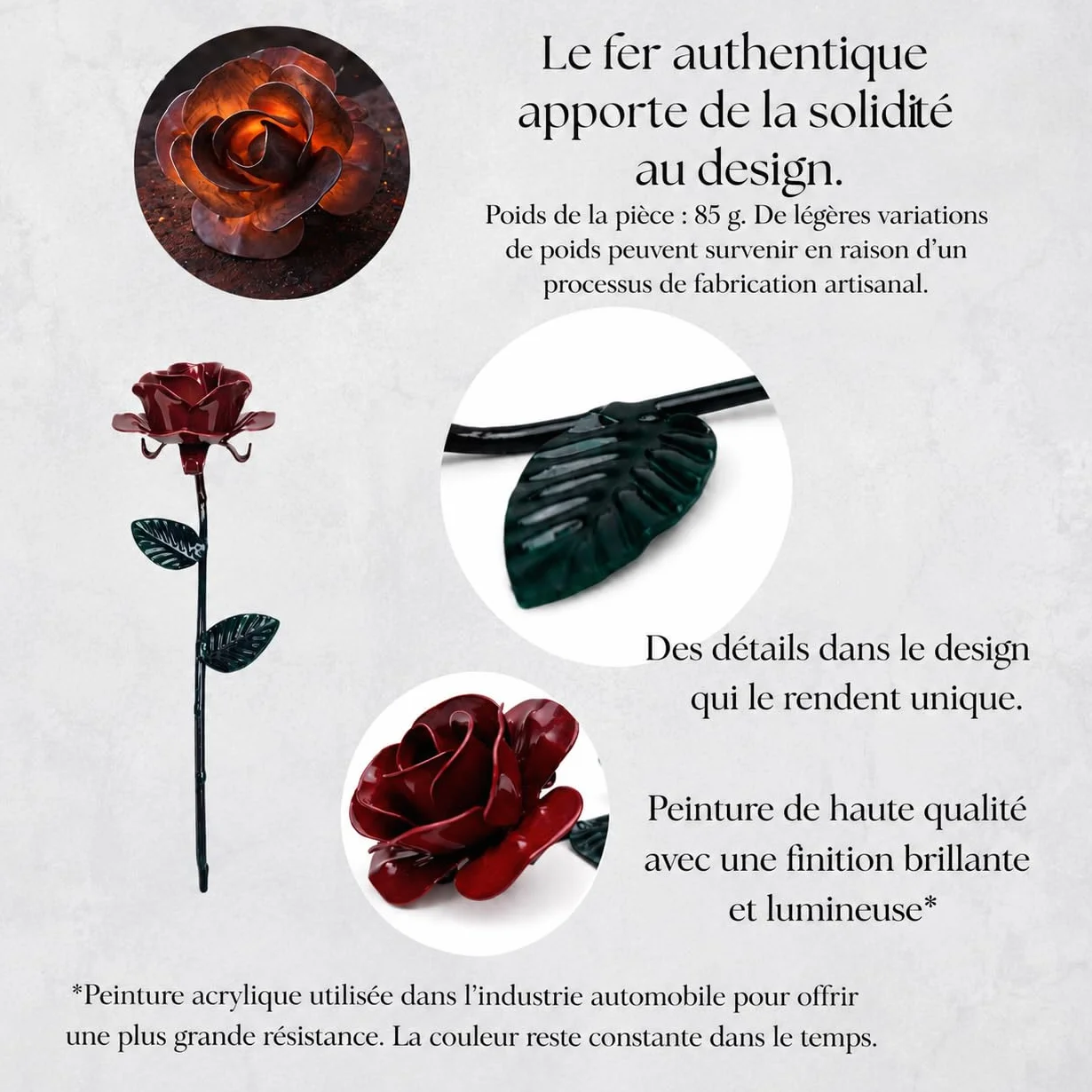 Rose Éternelle en Fer Forgé Faite à la Main avec Carte de Dédicace, Coffret Cadeau Romantique