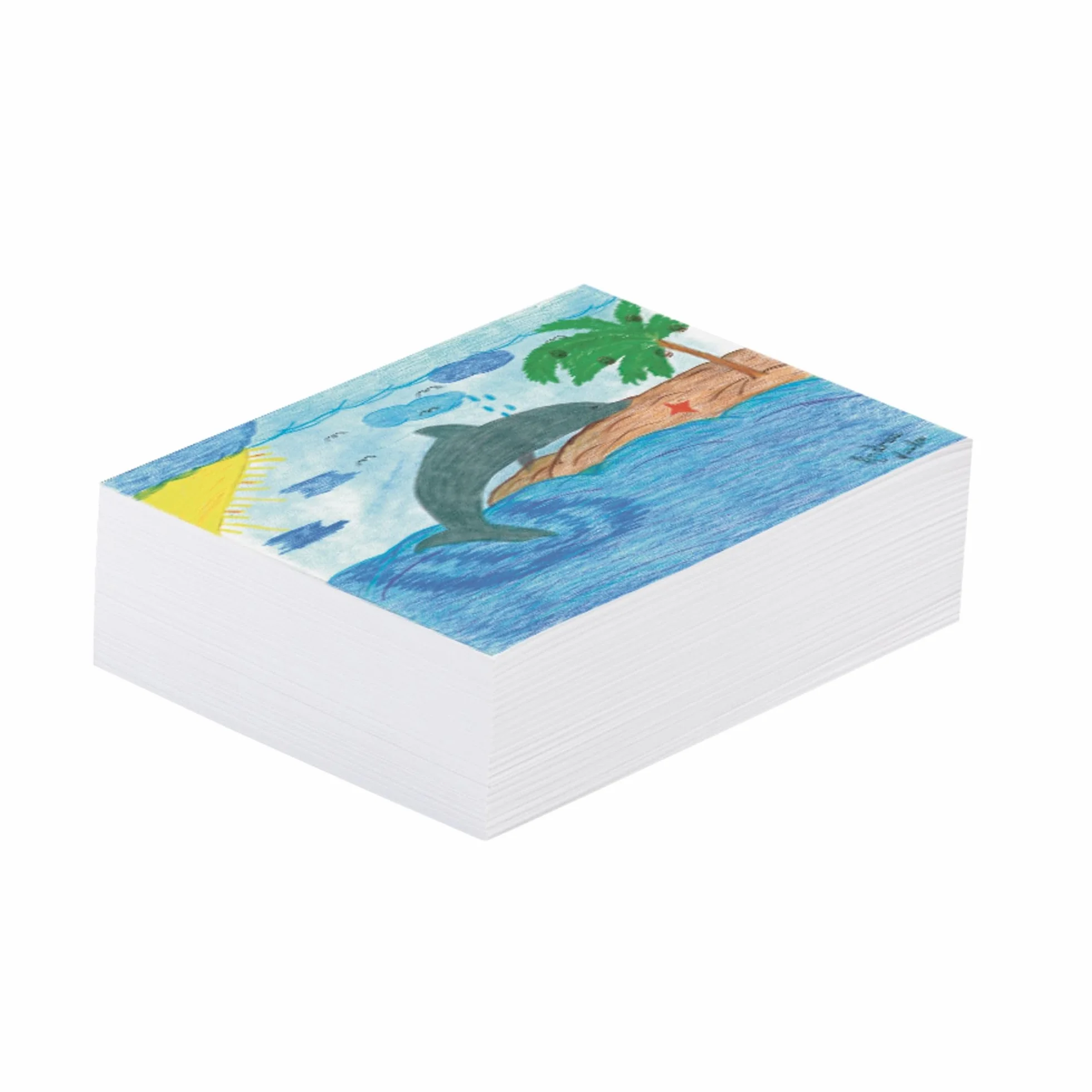 Pacon Papier journal blanc 21,6 x 27,9 cm