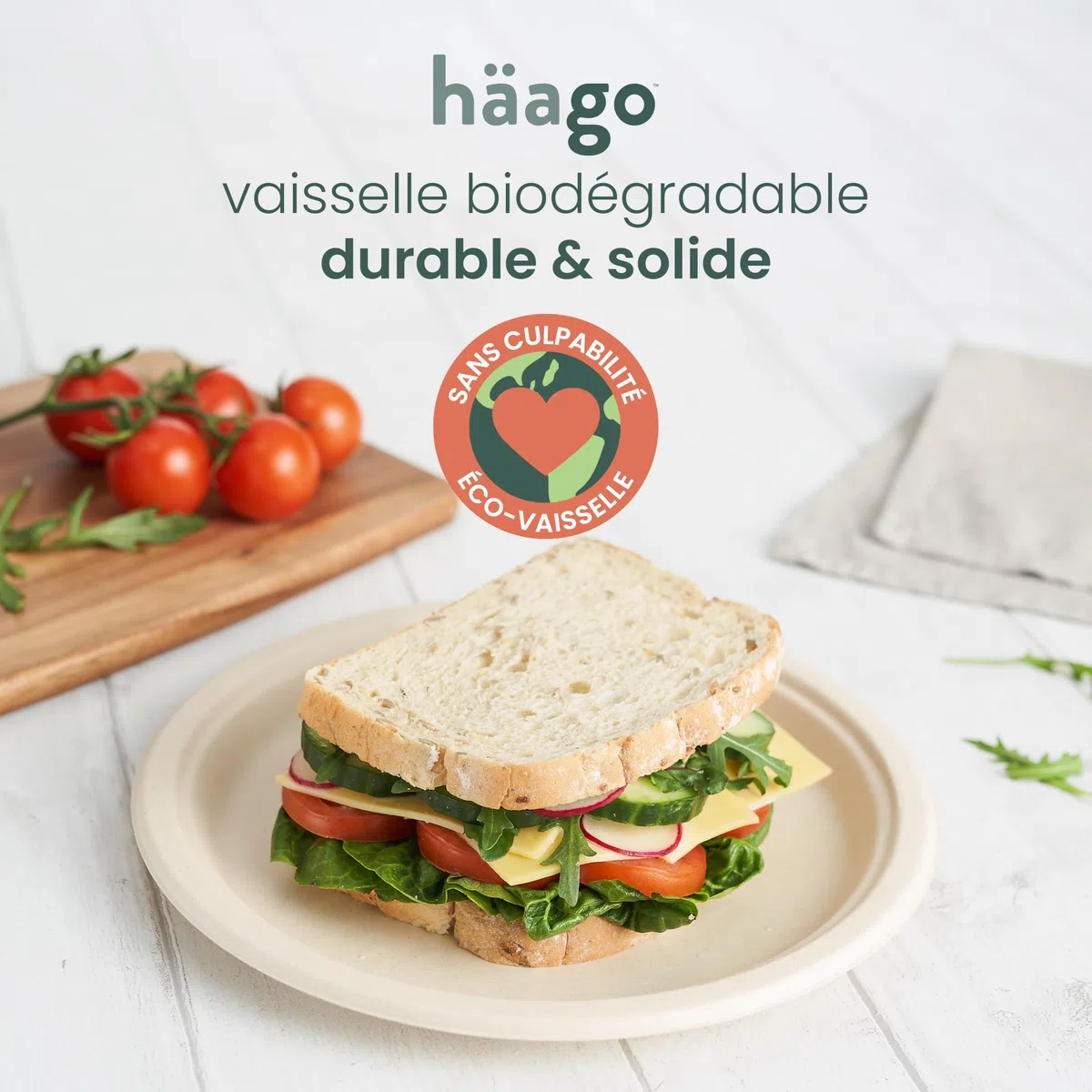 HAAGO 100 Assiettes Jetables Solides & Compostables 26 cm / 10" – Canne à Sucre (Bagasse) – Assiettes Carton Rigides, Anti-Graisse & Anti-Fuites – Pour Chaud & Froid, Buffet, BBQ, Traiteur